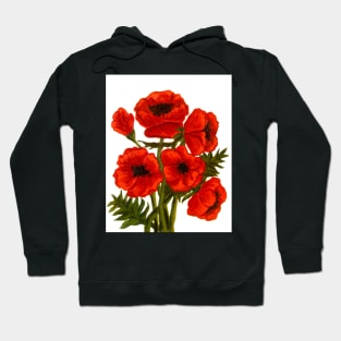 Red poppies on white background, oil painting Hoodie